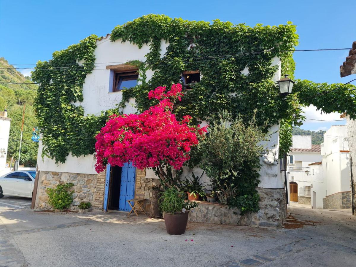 Casa La Yedra by CasaTuristica - Chambres d’hôtes