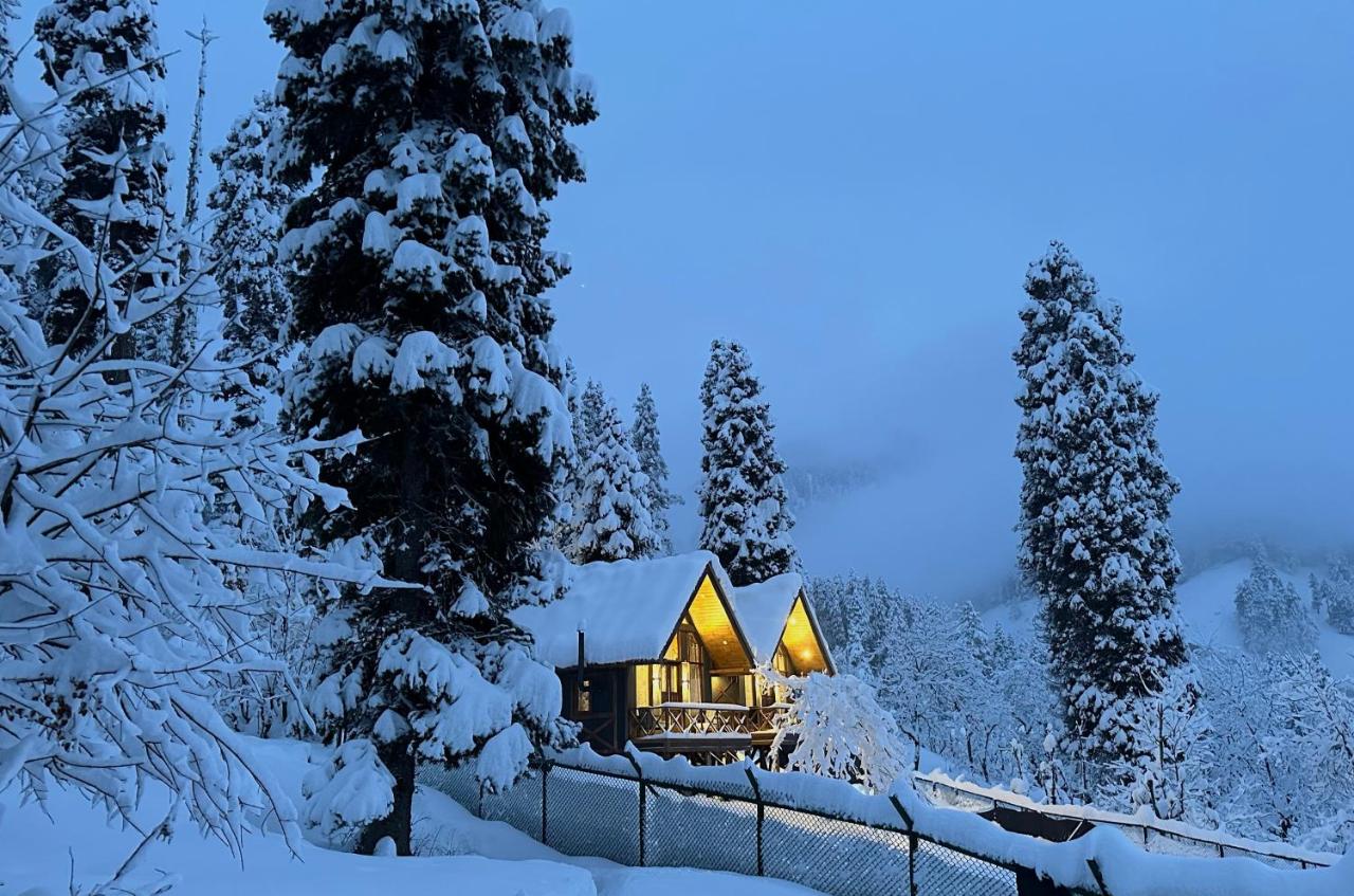 Solomons Gray - B&B Tangmarg