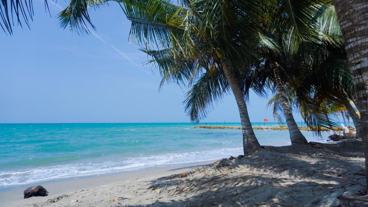 Cabaña La Pereztroica 2 - B&B Puerto Viejo