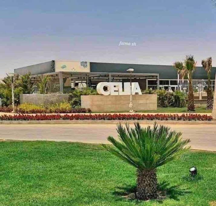 Stylish 2-Bedroom Apartment in Celia Compound, New Administrative Capital - B&B