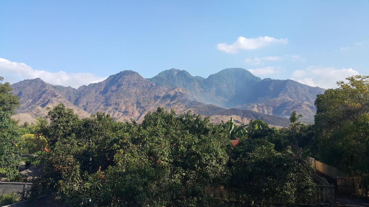 Deluxe Doppel-/Zweibettzimmer mit Gartenblick