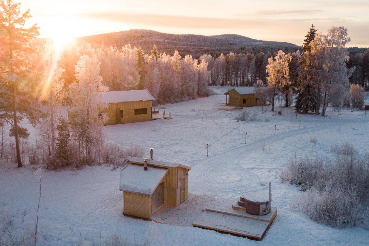 BLUEBERRY LODGE 5 personnes - Bed and Breakfast Mjölan