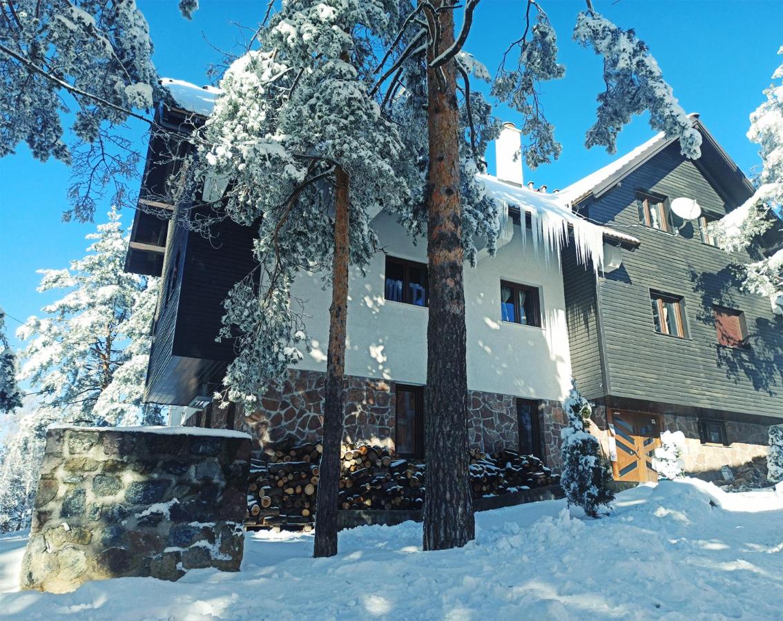 Vila Plamenac - B&B