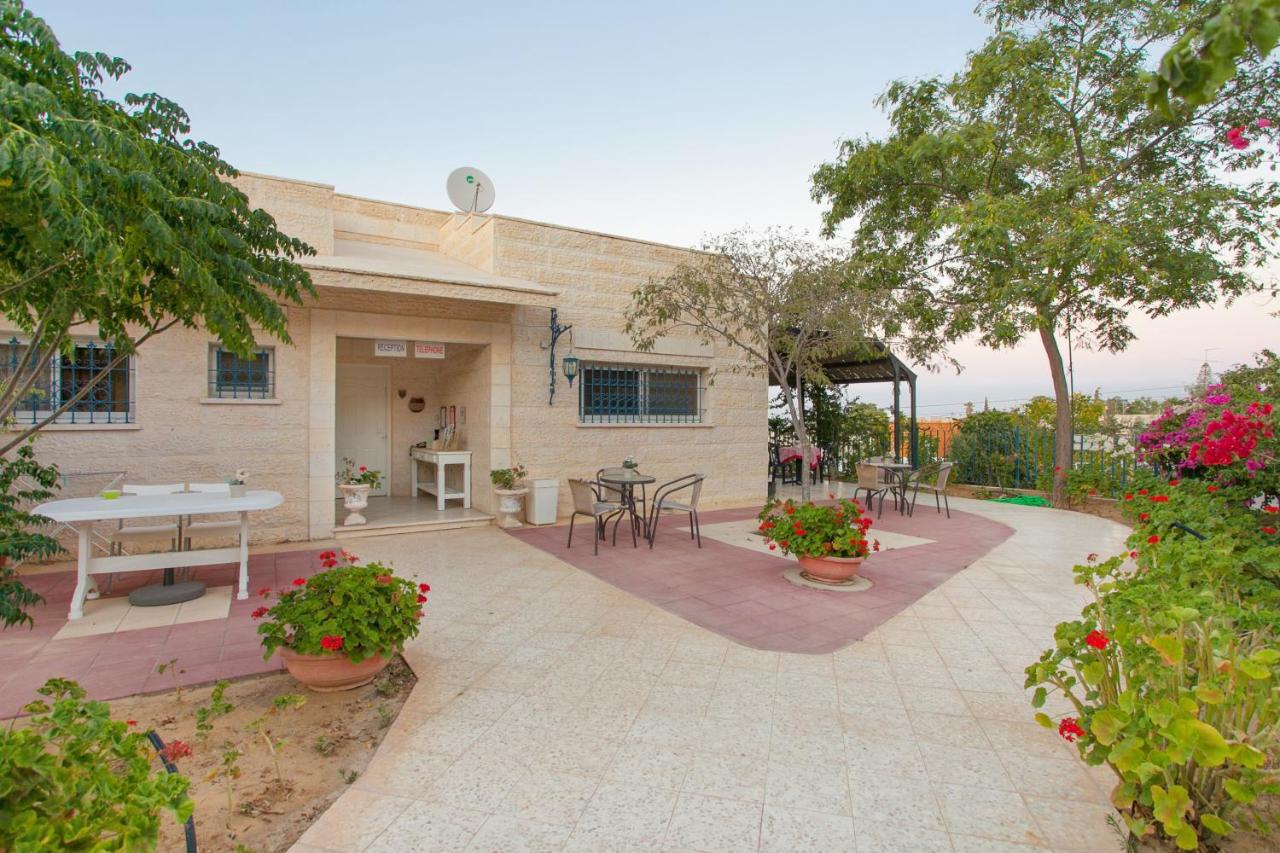Villa 1000 - Bed and Breakfast Arad