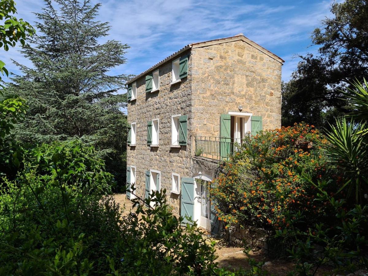 MAISON DE CARACTERE AVEC PISCINE - B&B Sartena