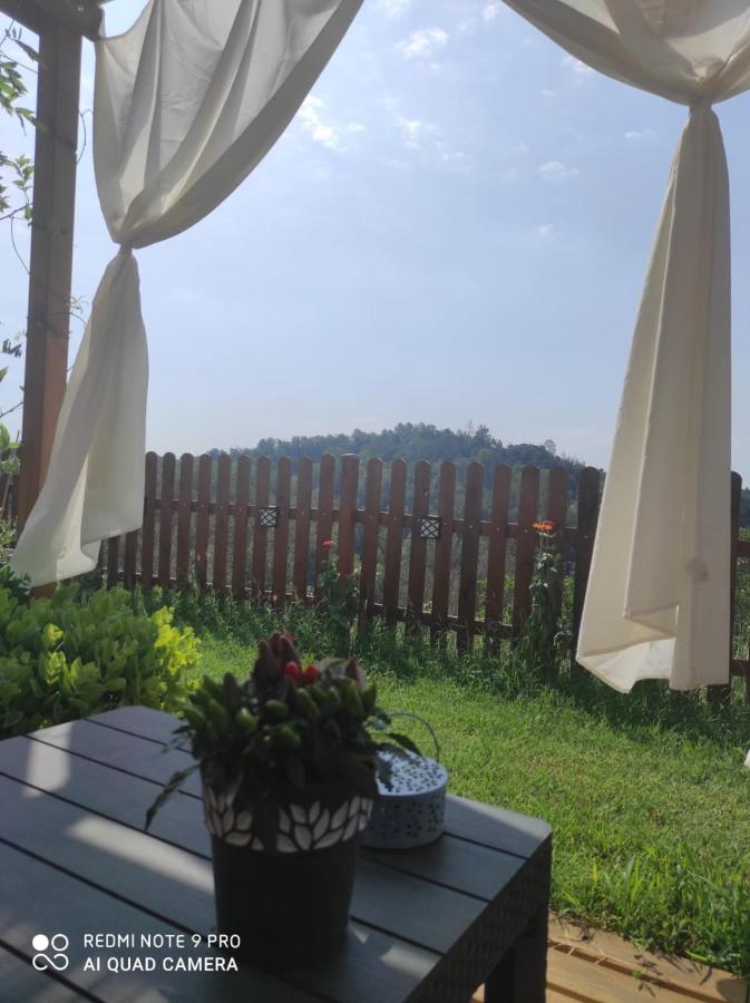 B&B TERRA DI COLLINA - Bed and Breakfast