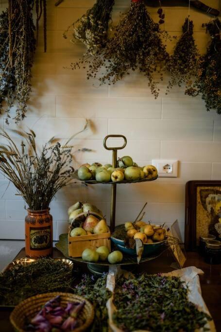 B&B Marcaria - Casa Artemisia lungo il fiume con giardino privato - Bed and Breakfast Marcaria