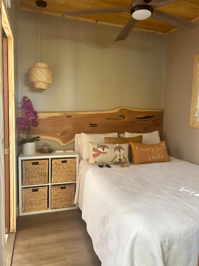 B&B Tampa - Sweet Tiny Cabin - Bed and Breakfast Tampa