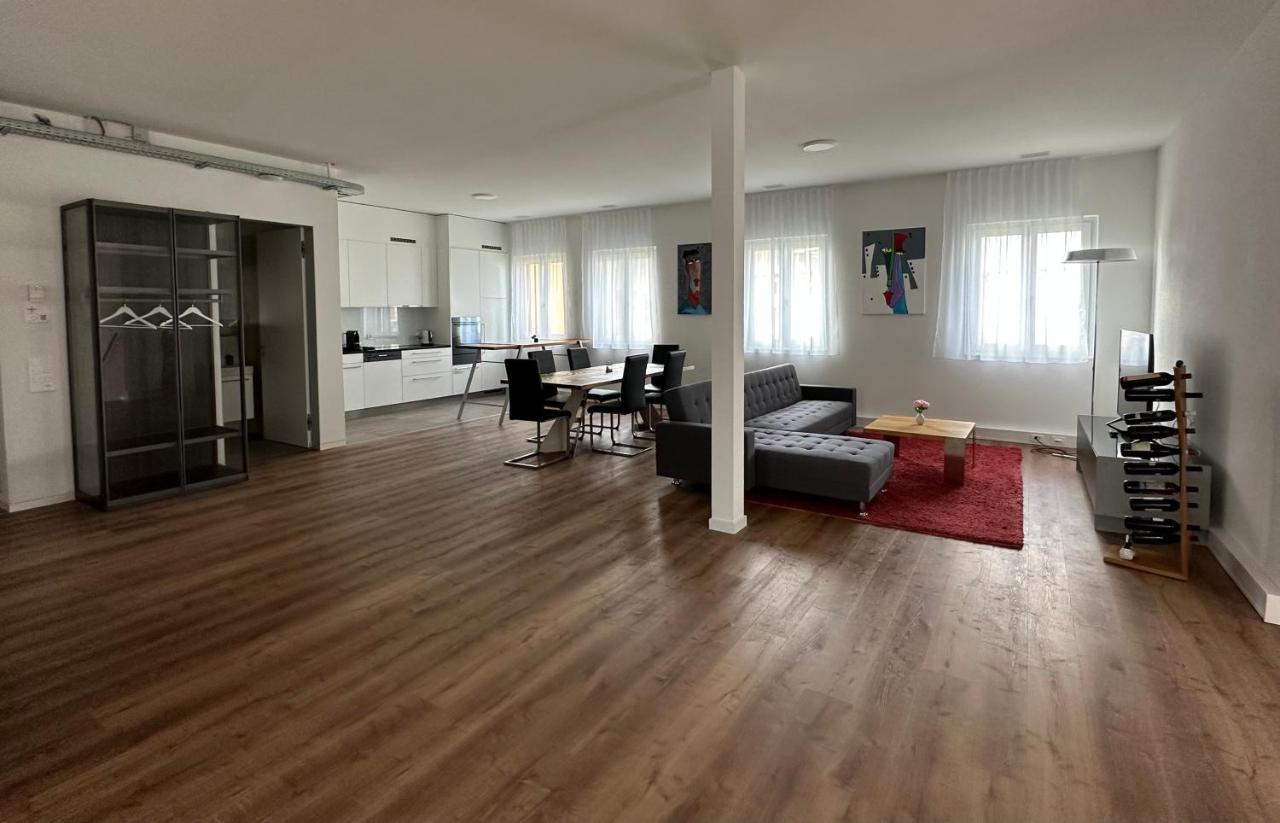 Grosse Einzimmerwohnung/Büro/Showroom - Chambres d’hôtes