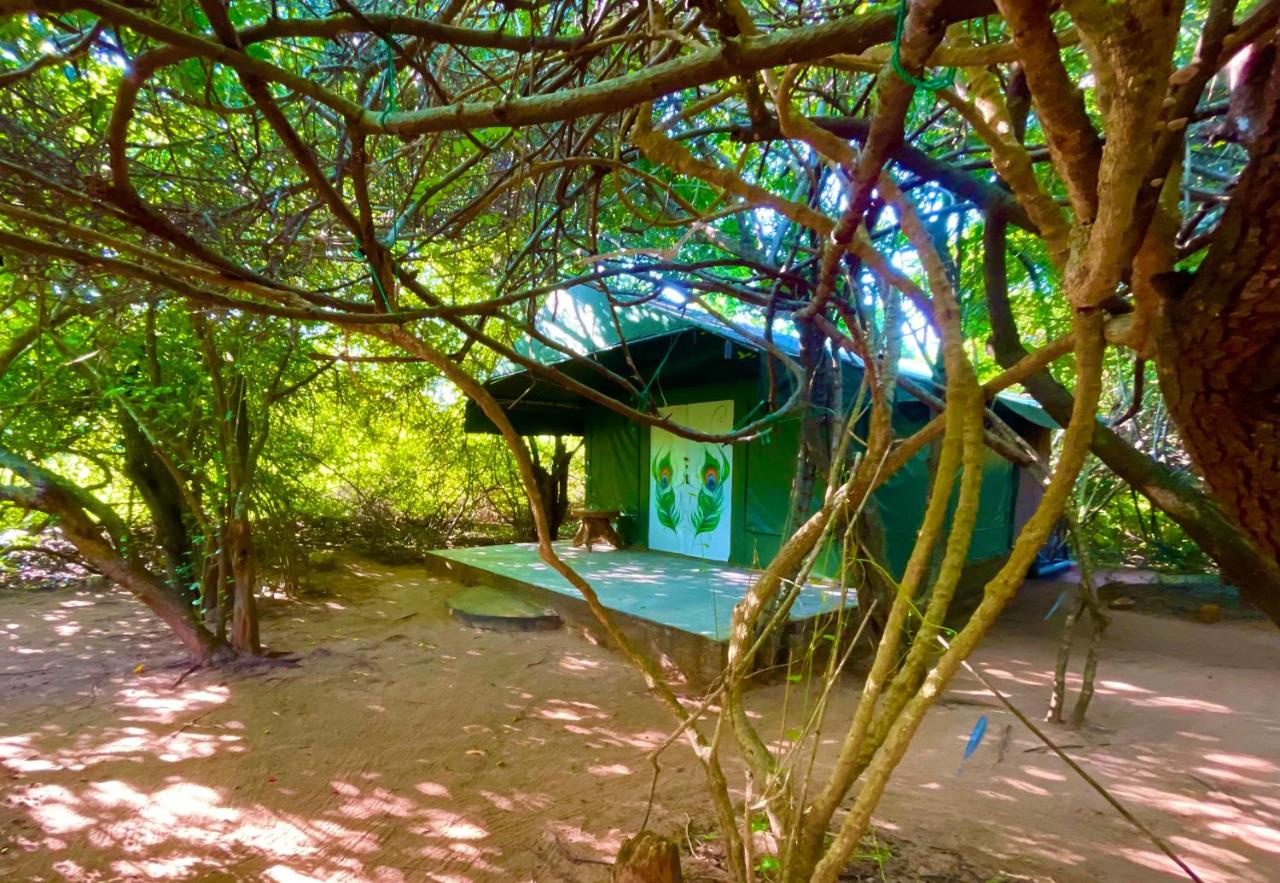 B&B Yala - Podi Hoona Luxury Bush Camp - Bed and Breakfast Yala