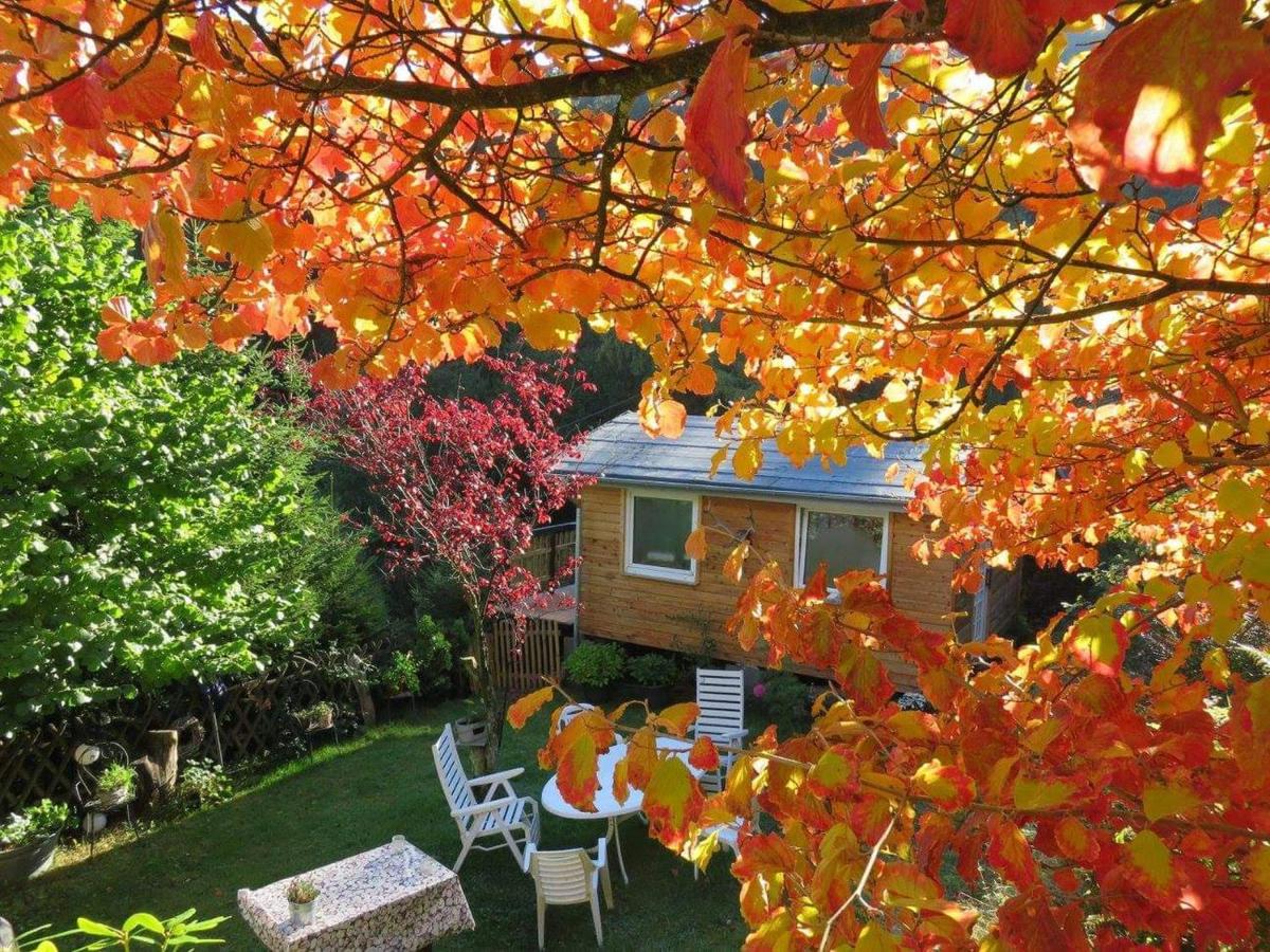 Ferienwohnungen Dorfliebe Dörnberg - B&B