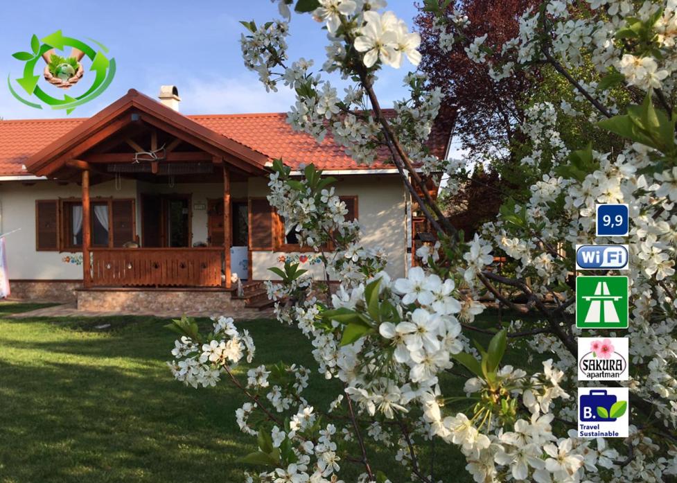 B&B Mezőkövesd - SAKURA apartmán Zsory - Bed and Breakfast Mezőkövesd