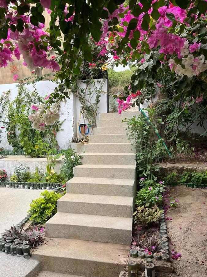 Le Cabaoui - B&B