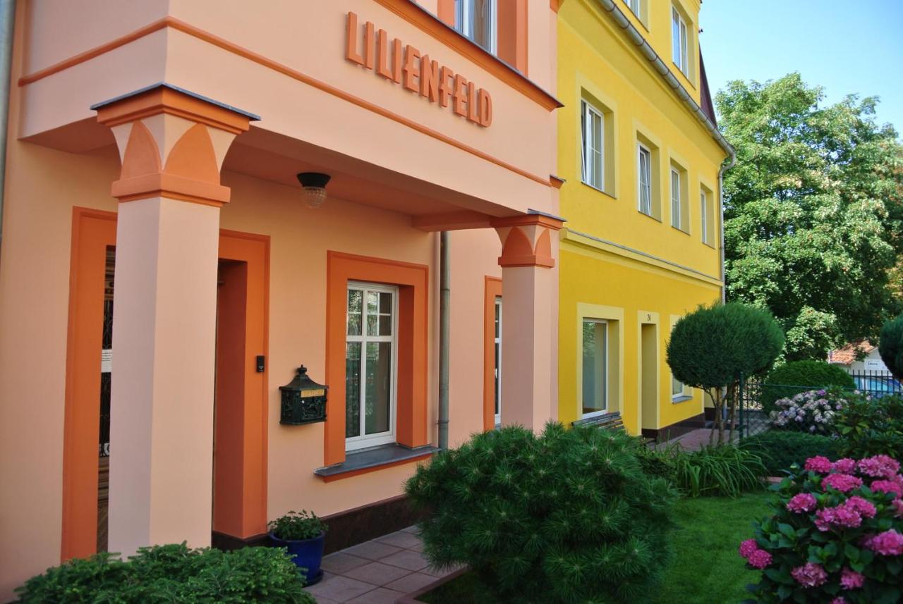 B&B Karlovy Vary - Penzion Valkoun-Lilienfeld - Bed and Breakfast Karlovy Vary