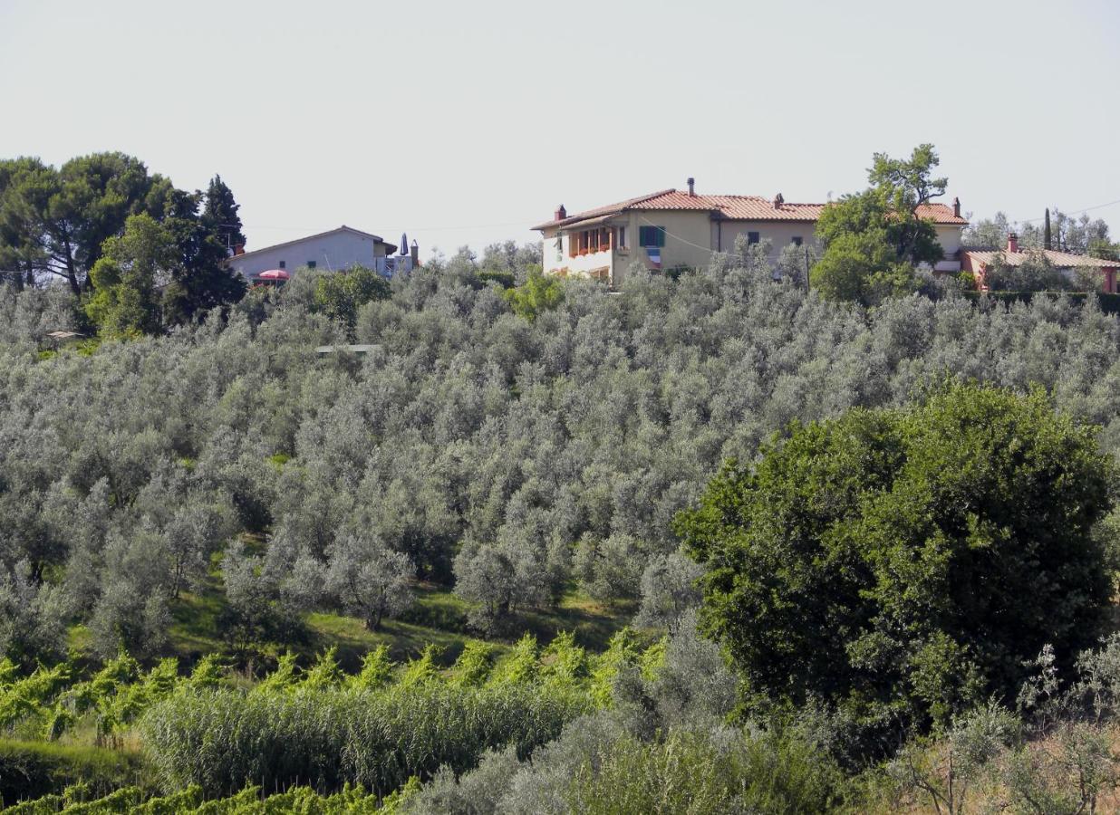 Agriturismo Podere Zollaio - B&B
