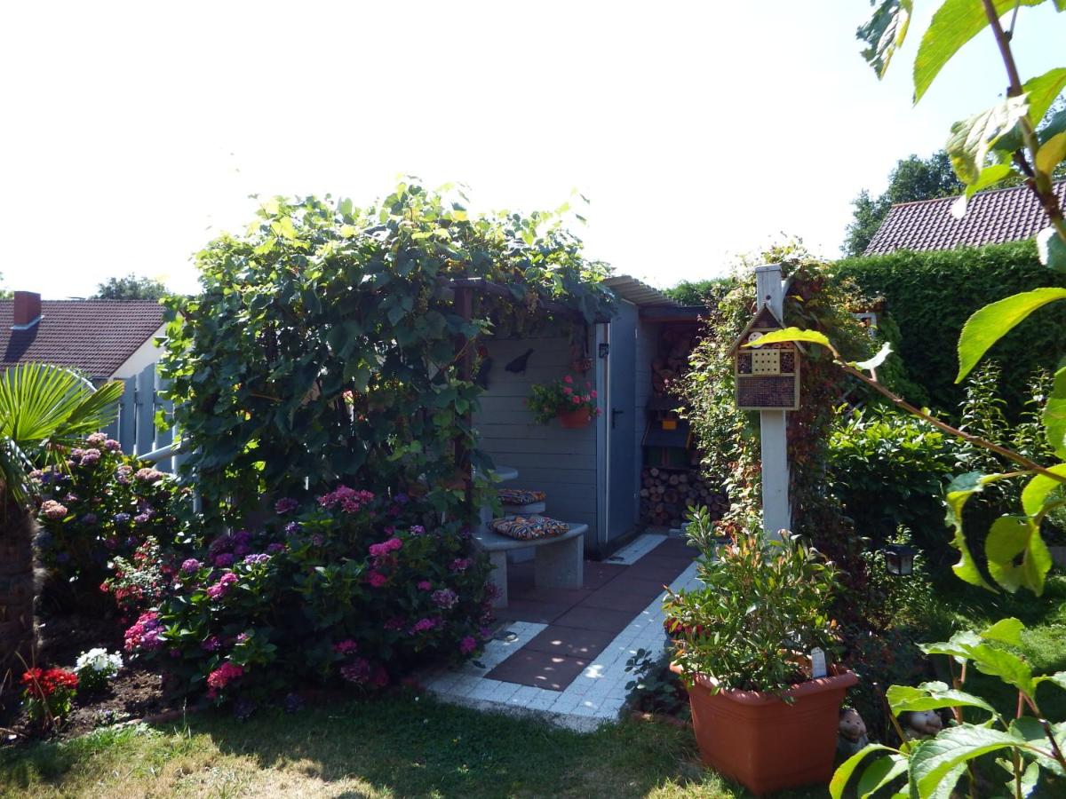 Ferienwohnung Georg - B&B Boppard