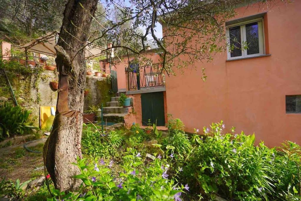 B&B Monterosso al Mare - La Gaiada - Bed and Breakfast Monterosso al Mare