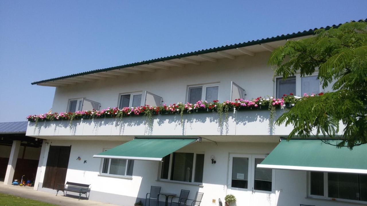 Pension Joseph Haydn - B&B