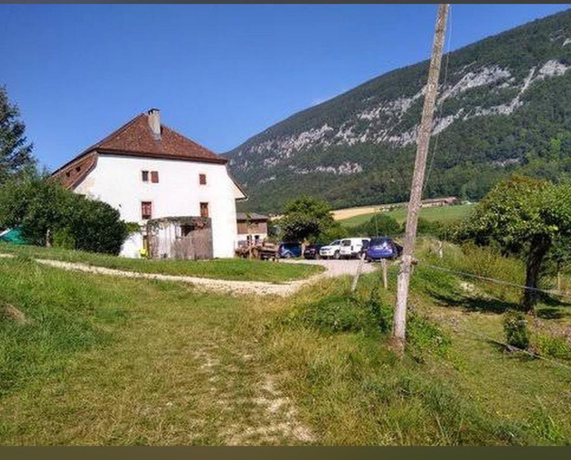 B&B Leubringen - Chez Dodo 2534 Orvin Le Foncet - Bed and Breakfast Leubringen