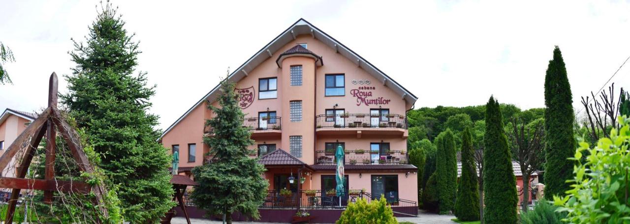 Pensiunea Roua Muntilor - B&B Vadu Crişului