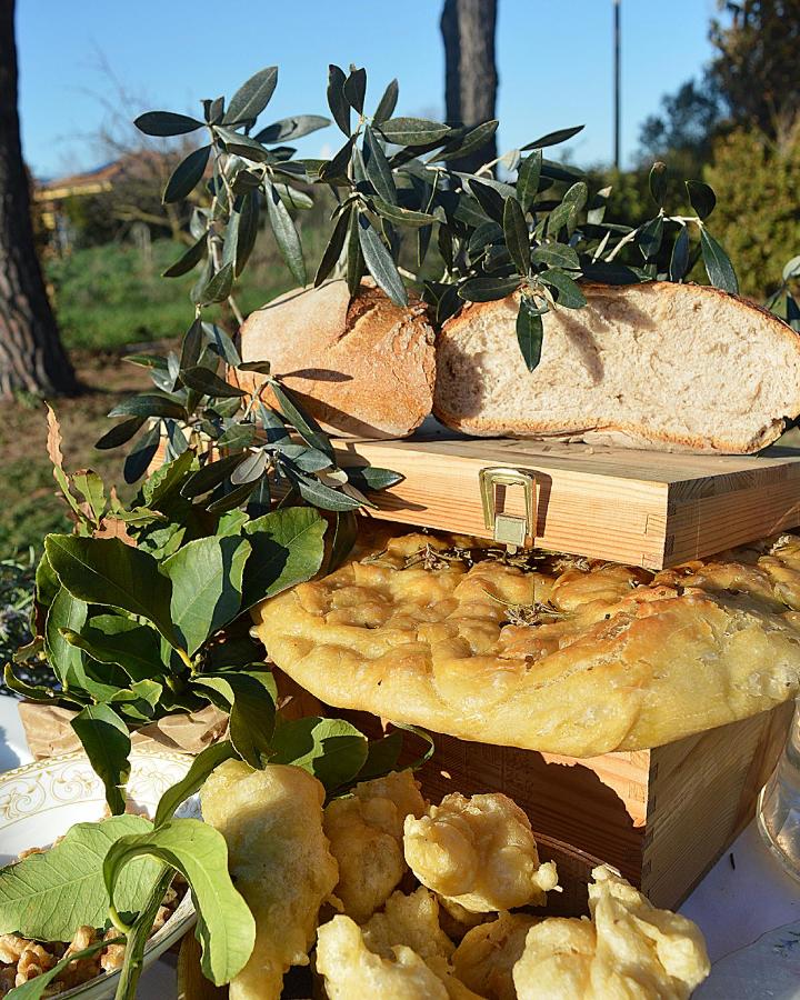 Villa Orta - Agriturismo con cucina Vegan, Plant-based Farmhouse - Ferienwohnung Ritirata
