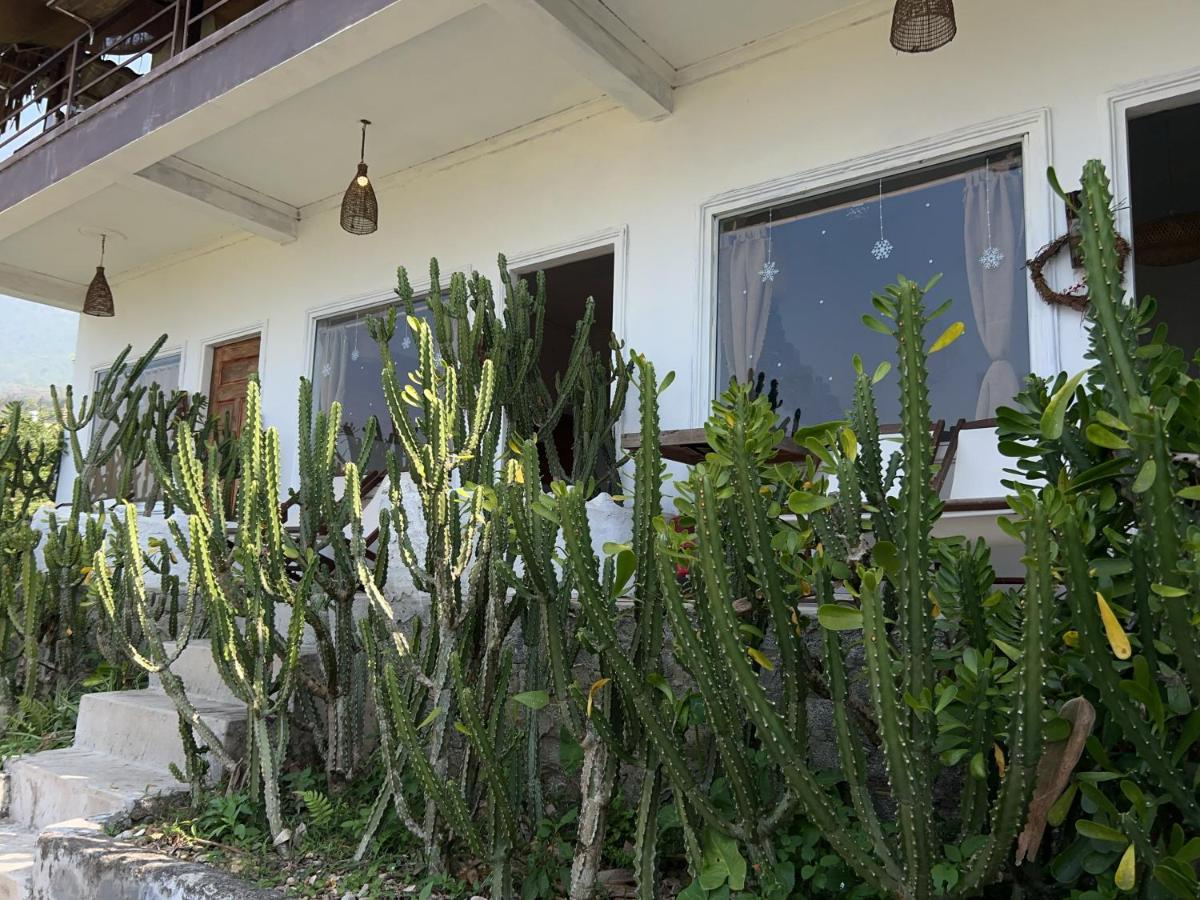 Lagom home - Cactus - Bed and Breakfast Sa Pa