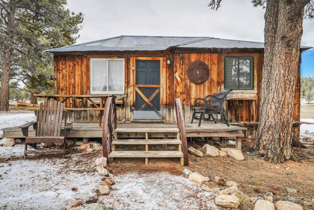 Cabin in Colorado NTL Forest - B&B