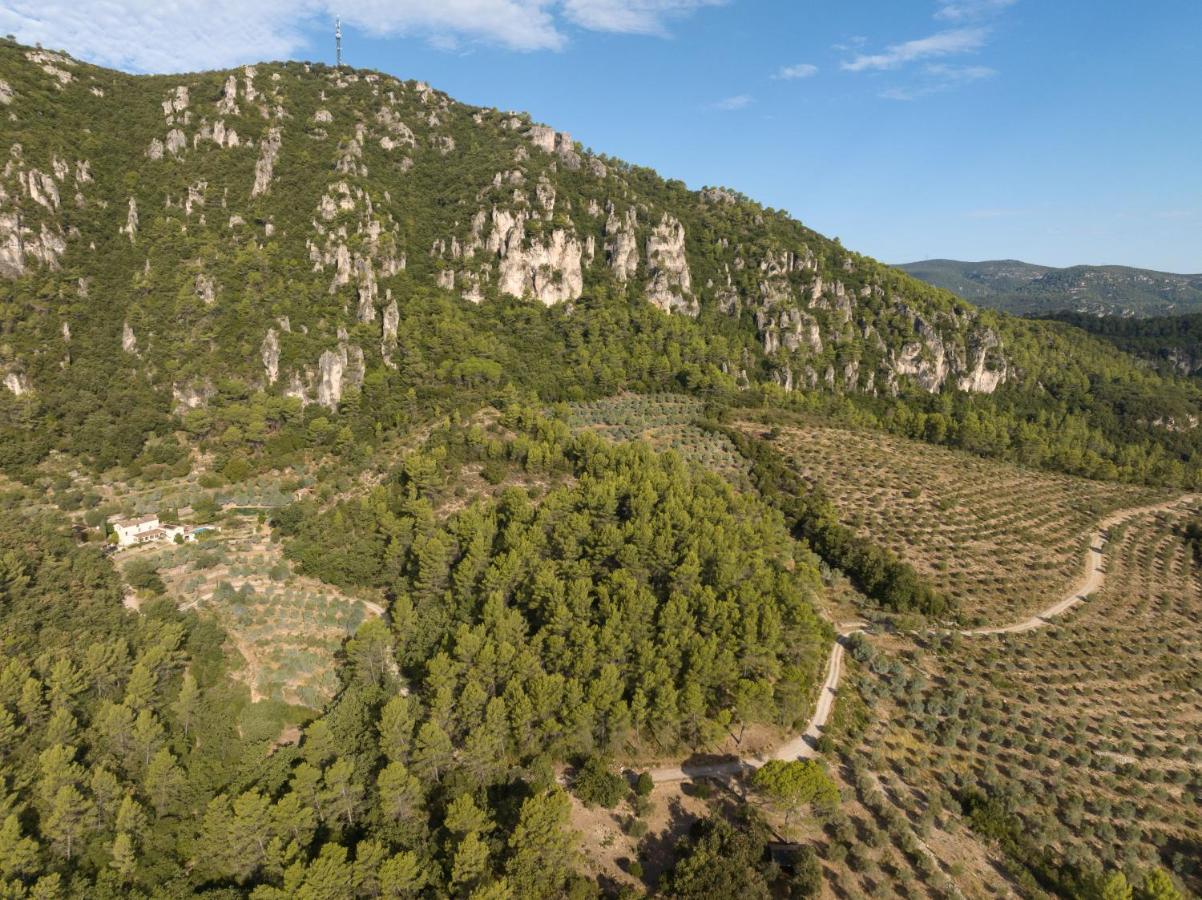 Gîte 'Olives en Provence' - B&B