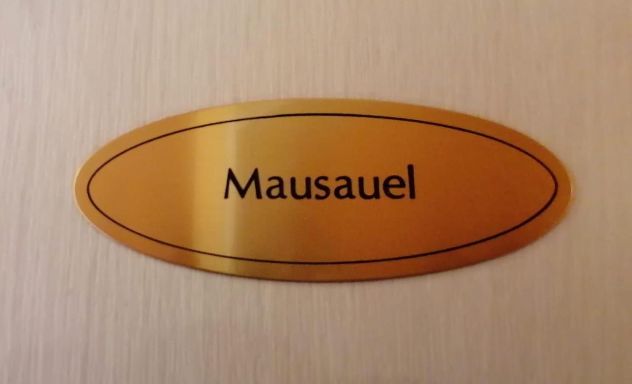 Chambre Simple - Mausauel