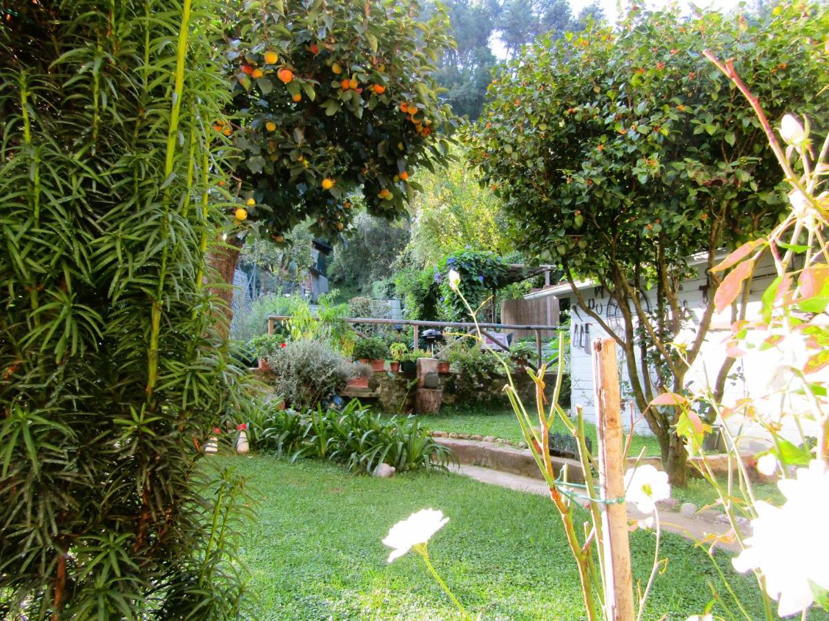 Giardino di Emanuela - B&B Nocchi