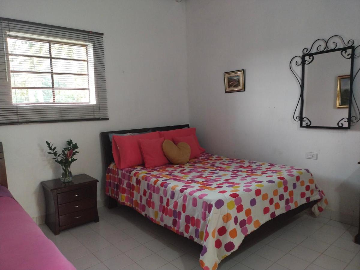 Double Room with Shared Bathroom