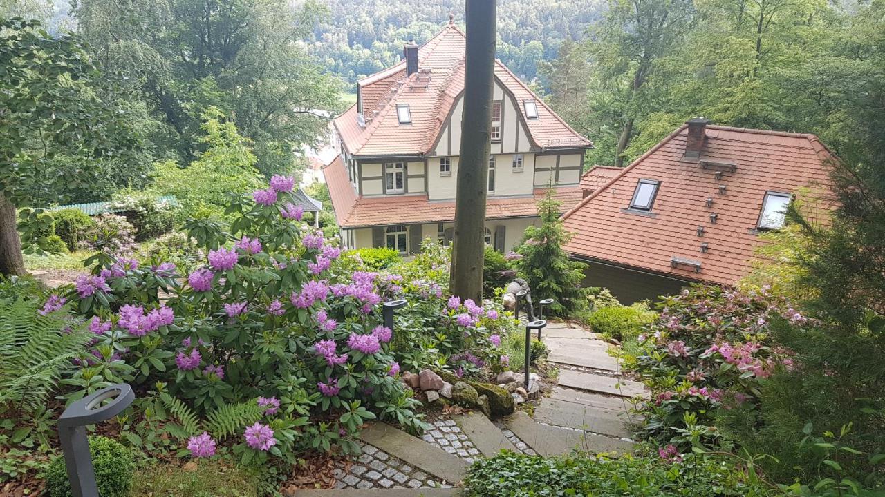 B&B Bad Schandau - Villa Sonnenburg - Bed and Breakfast Bad Schandau