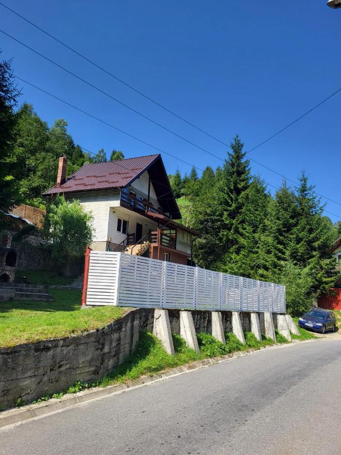Diana's Holiday Home - Bed and Breakfast