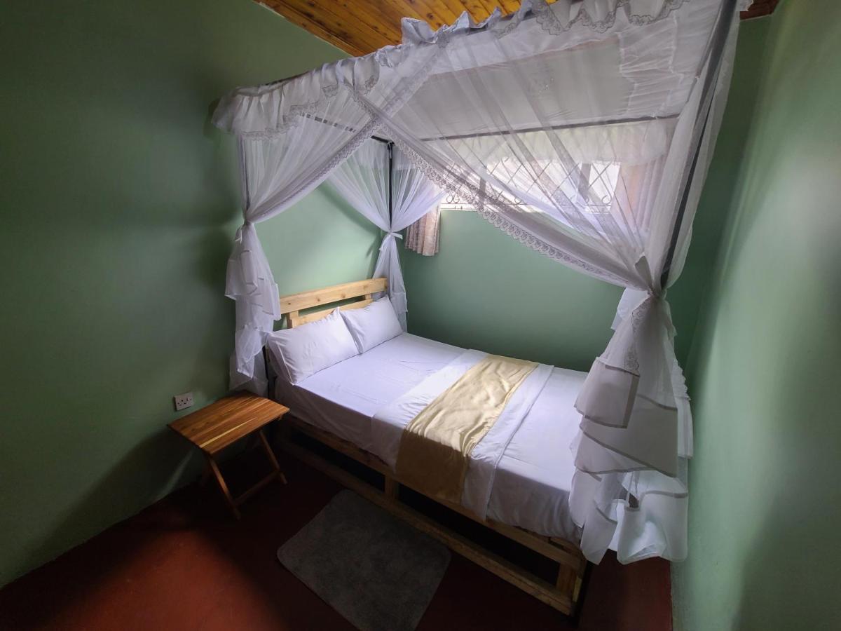 EVER GREEN - B&B