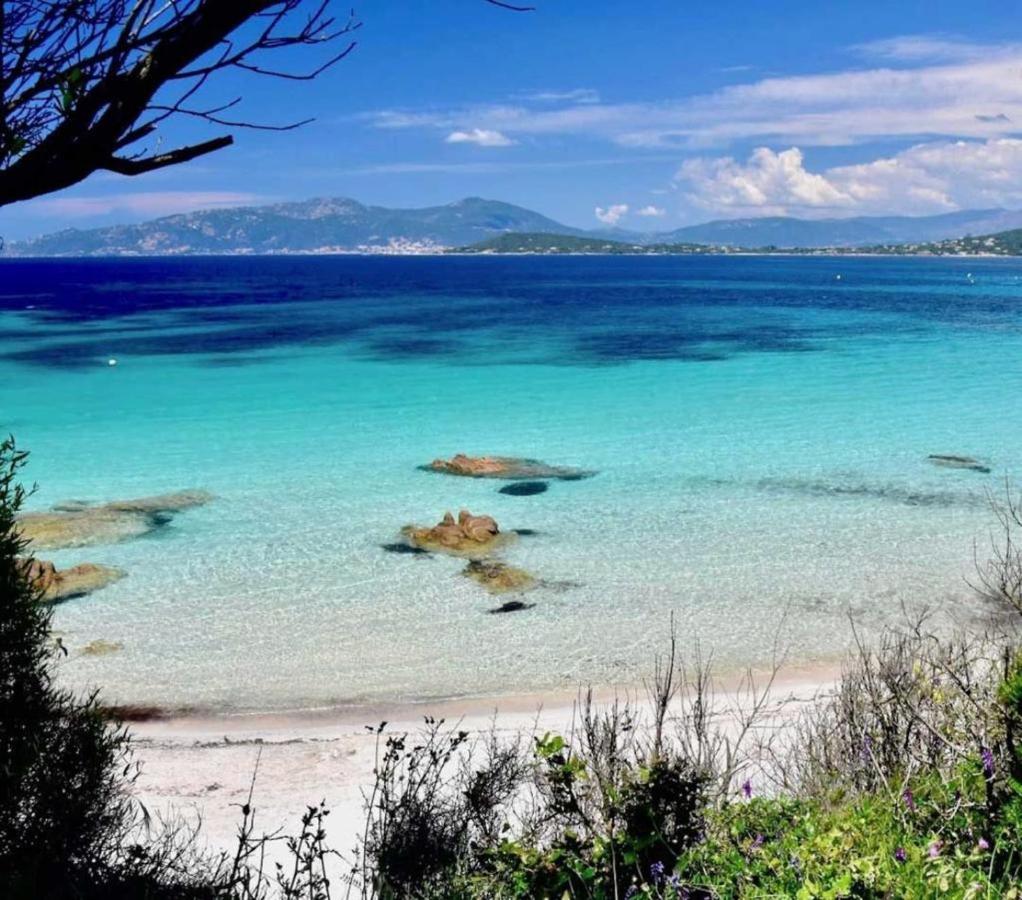 NOUVEAUTE! Magnifique villa à 2 minutes des plus belles plages de la rive sud - B&B
