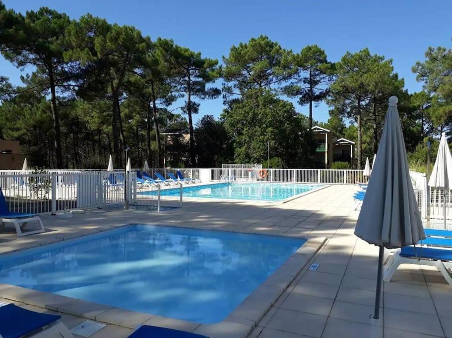 B&B Carcans - Résidence Les Grands Pins - T2 avec piscine - Bed and Breakfast Carcans