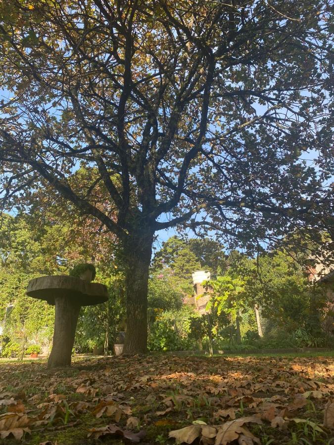 Casa Baseggio - Ferienwohnung Canela