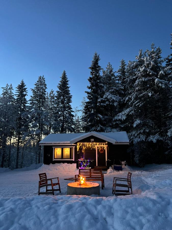 B&B Auktsjaur - Gemuetliches Blockhaus im Wald - Bed and Breakfast Auktsjaur