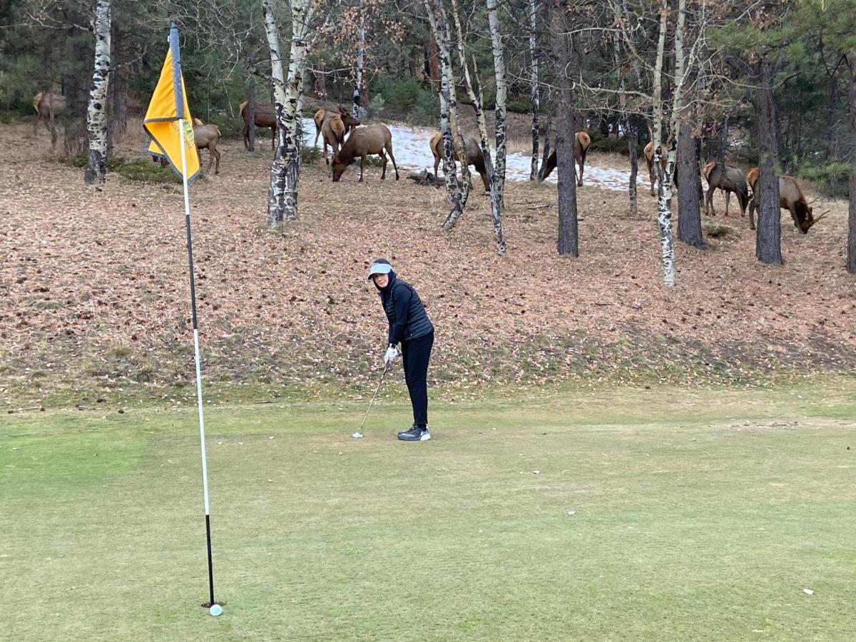 Colorado Bed & Breakfast with beautiful views - B&B Evergreen