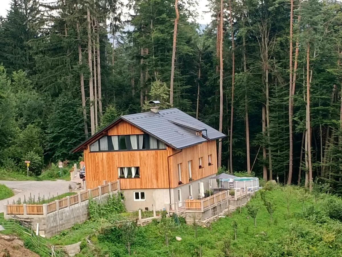 Apartment A&A - Bed and Breakfast Niederdorf