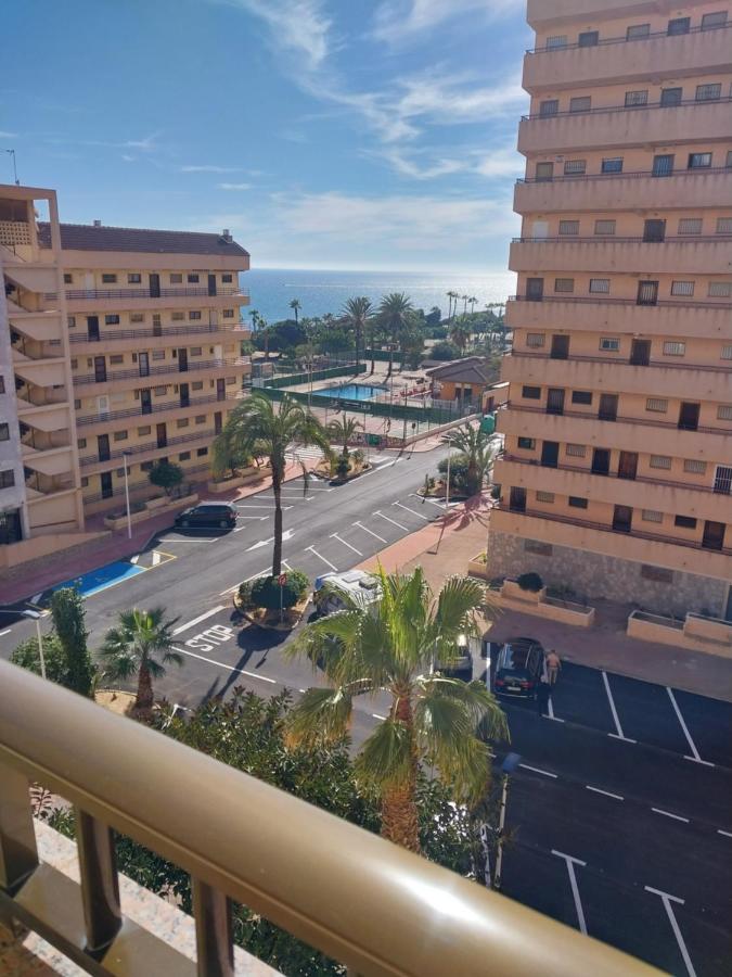 Cabo Cervera 50 m del mar - B&B Torrevieja