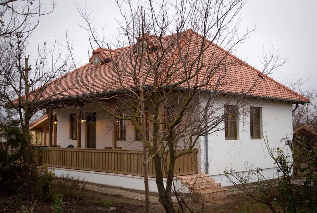 B&B Ion Roată - Lovely country house in a wonderful garden - Bed and Breakfast Ion Roată