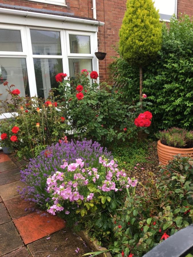Rose Cottage, Newbiggin-by-the-Sea - B&B