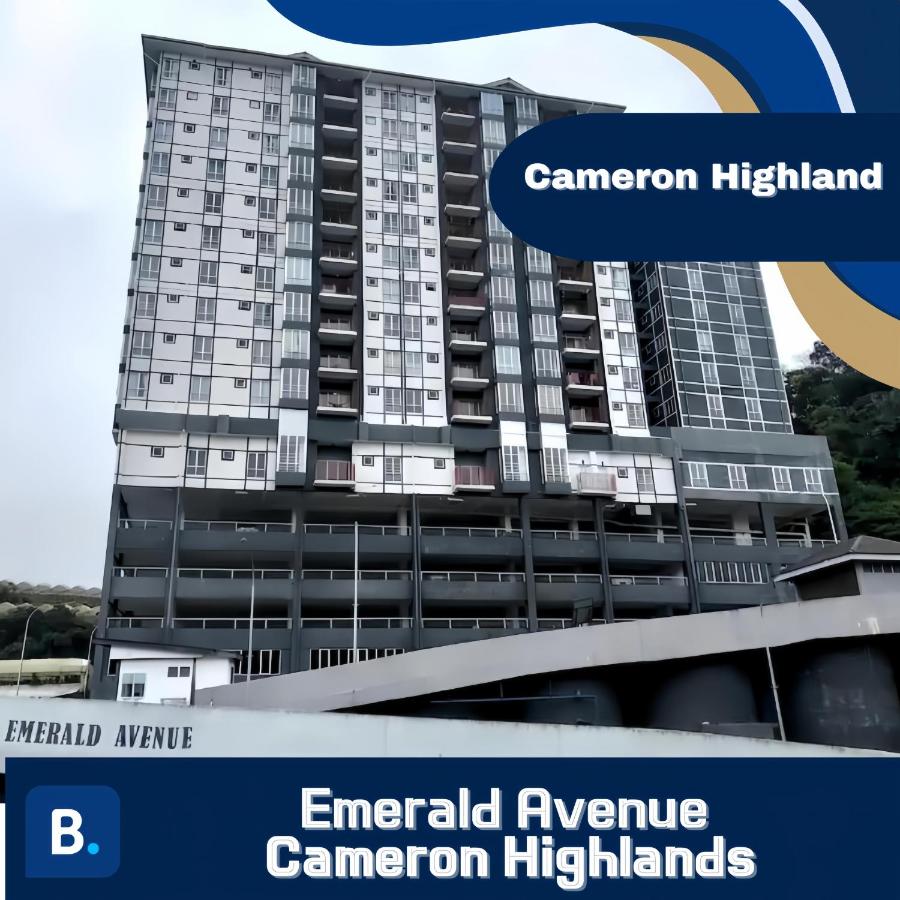 B&B Berincang - Emerald Avenue Cameron Highlands - Bed and Breakfast Berincang