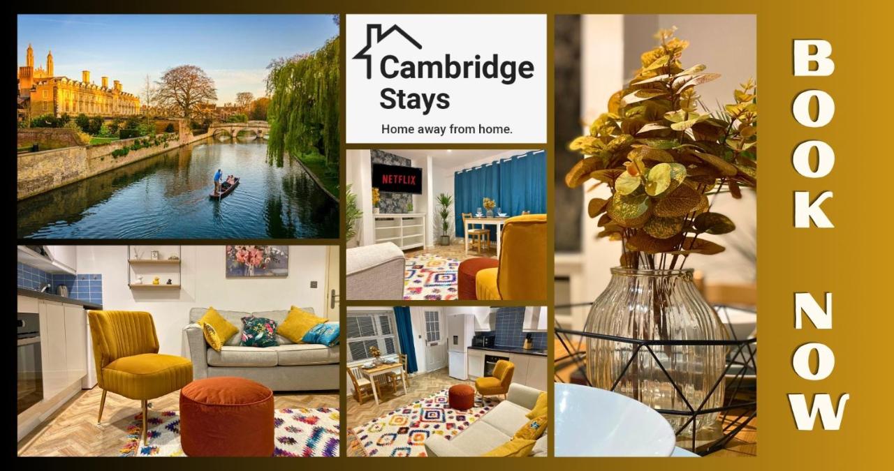 B&B Cambridge - Stunning 1BR - Super Central- Peaceful Area - Bed and Breakfast Cambridge