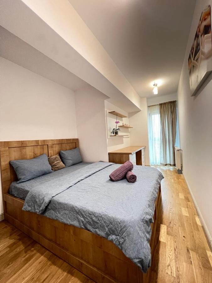 B&B Iasi - 2 rooms apartment Airy & Bright Chic - Bed and Breakfast Iasi