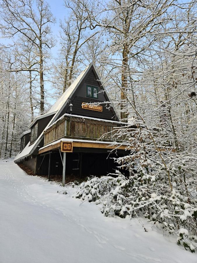 Chalet la Catrina - Bungalow 41, Sunclass Durbuy - Bed and Breakfast