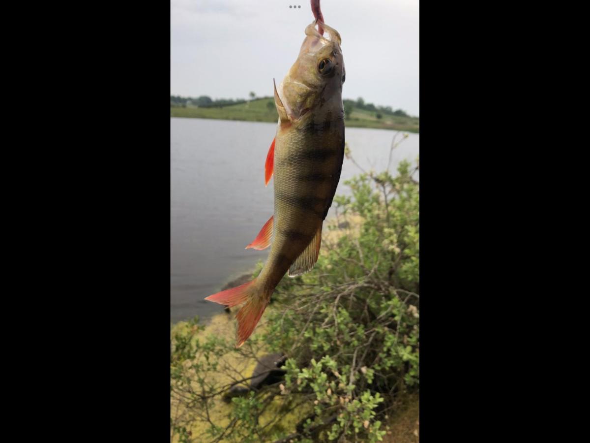 Teasy's cottage - B&B Armagh