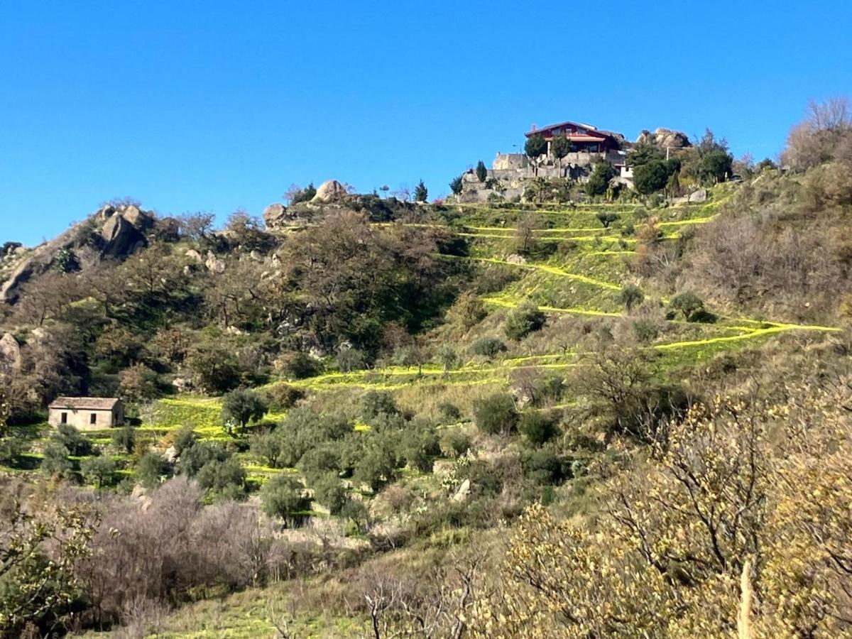 Double or Twin Room with Mountain View