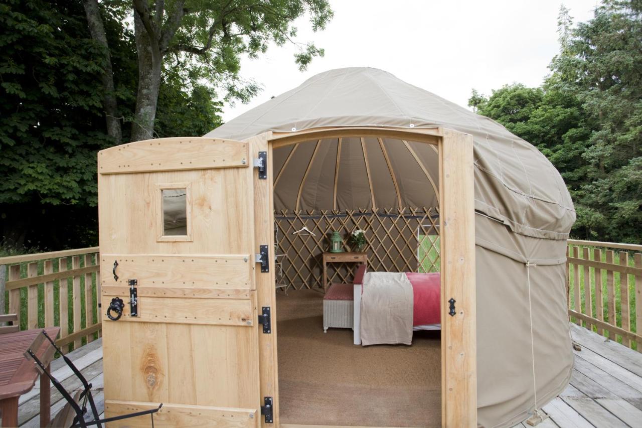 Ash Yurt